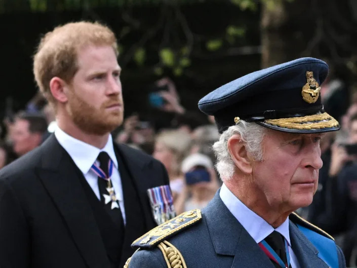 Charles III and Britain's Prince Harry, Duke of Sussex walk behind the coffin of Queen Elizabeth II, adorned with a Royal Standard and the Imperial State Crown and pulled by a Gun Carriage of The King's Troop Royal Horse Artillery, during a procession from Buckingham Palace to the Palace of Westminster, in London on September 14, 2022.
