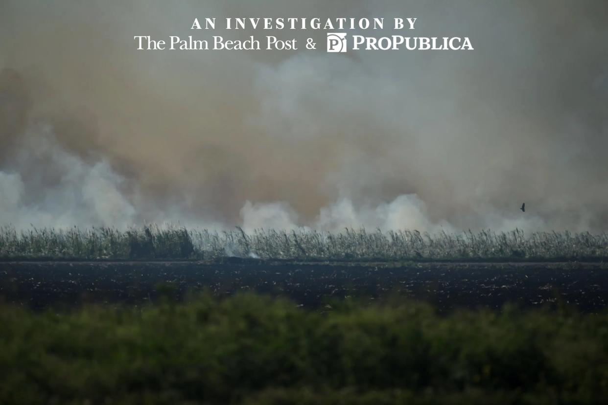 The Palm Beach Post and ProPublica investigated cane burning and how it affects the health of the people who live in the Glades for a year.