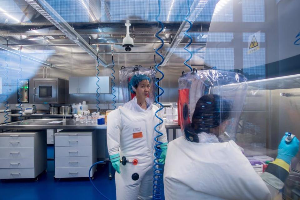 Scientists inside a laboratory in Wuhan, China