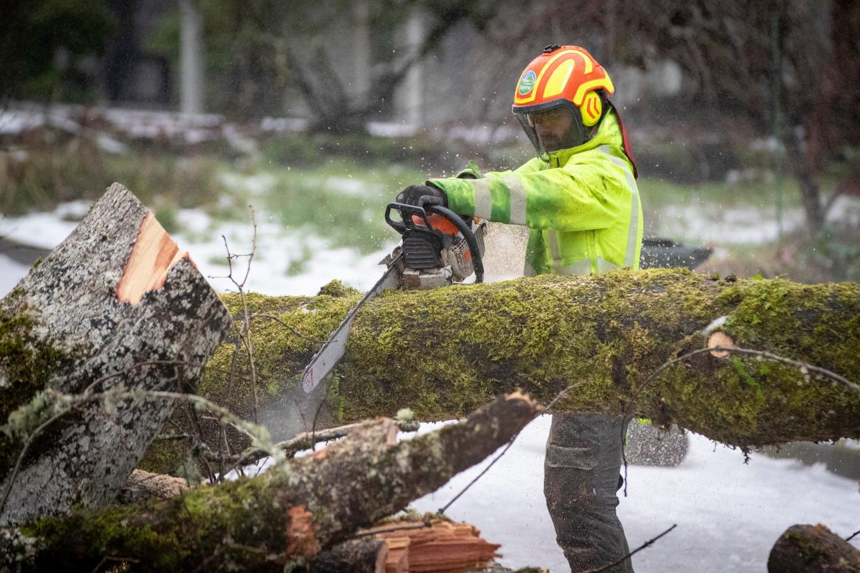 City of Eugene crews clear a fallen tree from Madison Street during a winter storm Jan. 17 in Eugene.