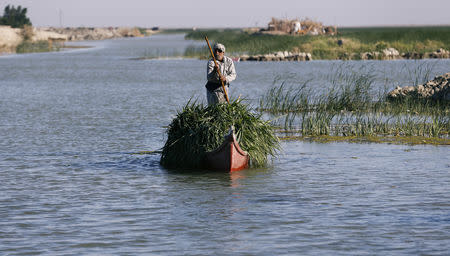 An Iraqi Marsh Arab paddles his boat as he collects reeds at the Chebayesh marsh in Dhi Qar province, Iraq April 14, 2019. REUTERS/Thaier al-Sudani