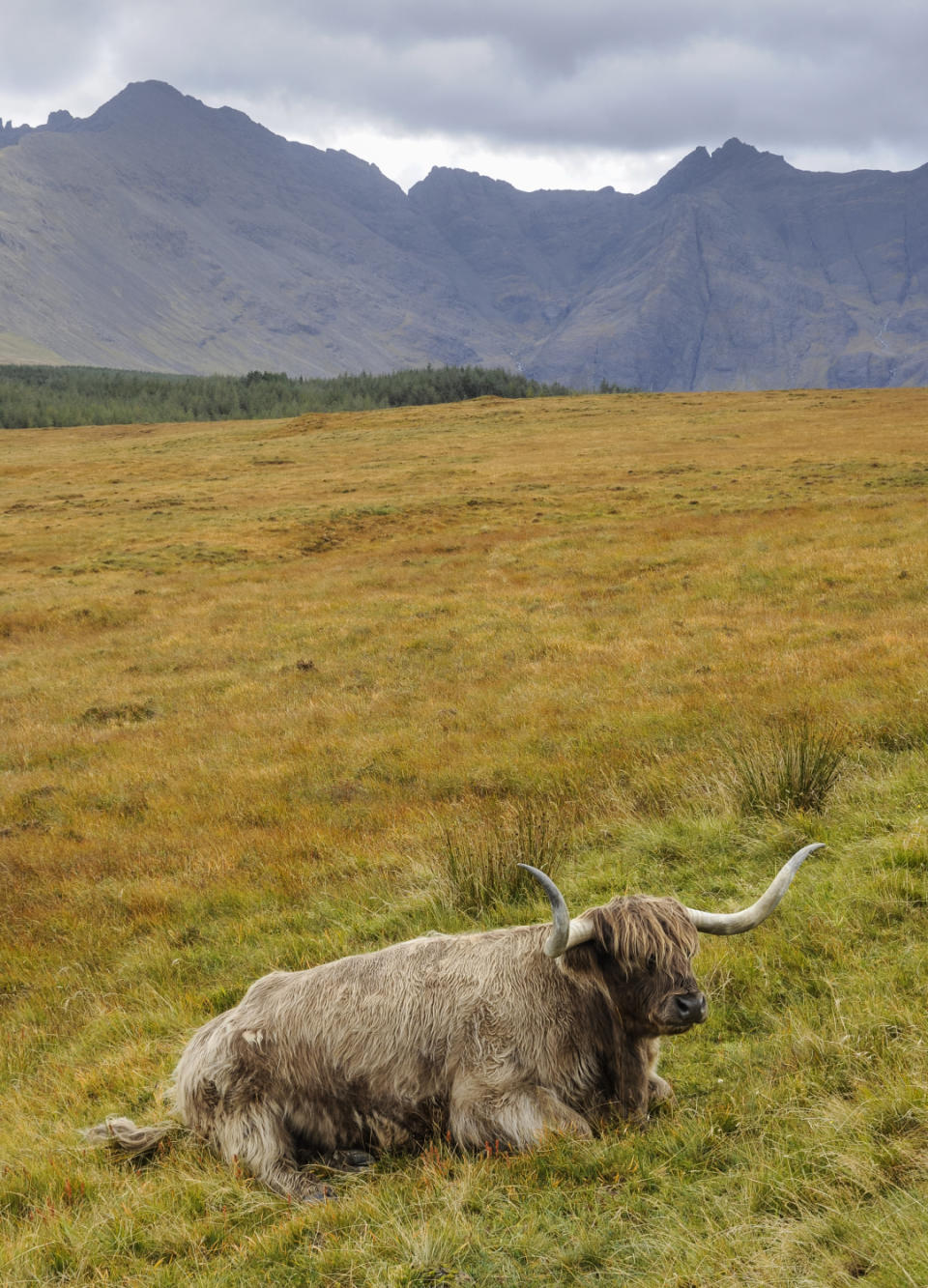 The Highlands, Scotland