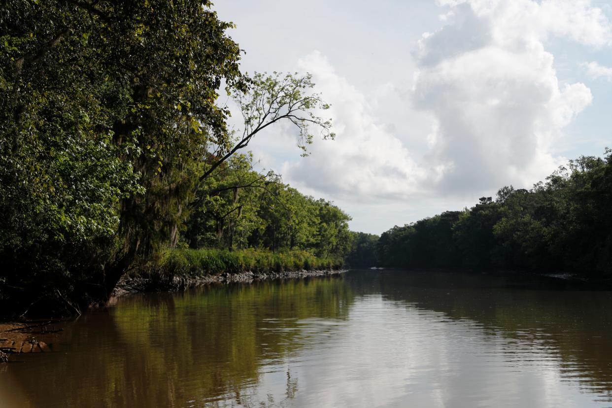 Abercorn Creek runs off the Savannah River into Effingham County.