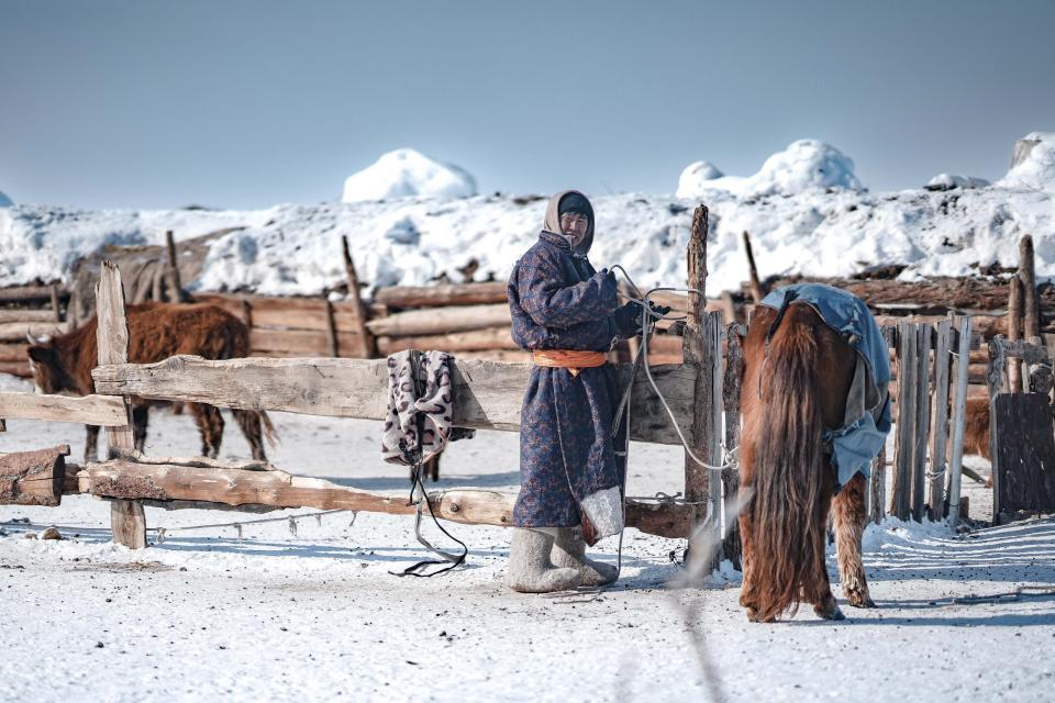 In this photo released by Mongolian Red Cross Society, a Mongolian herdsman stands near his livestock in Ulaangom Soum, Uvs province of Mongolia, on March 1, 2024. An extreme weather phenomenon known as the dzud has killed more than 7.1 million animals in Mongolia this year, more than a tenth of the country’s entire livestock holdings, threatening herders’ livelihoods and way of life. (Mongolian Red Cross Society via AP)