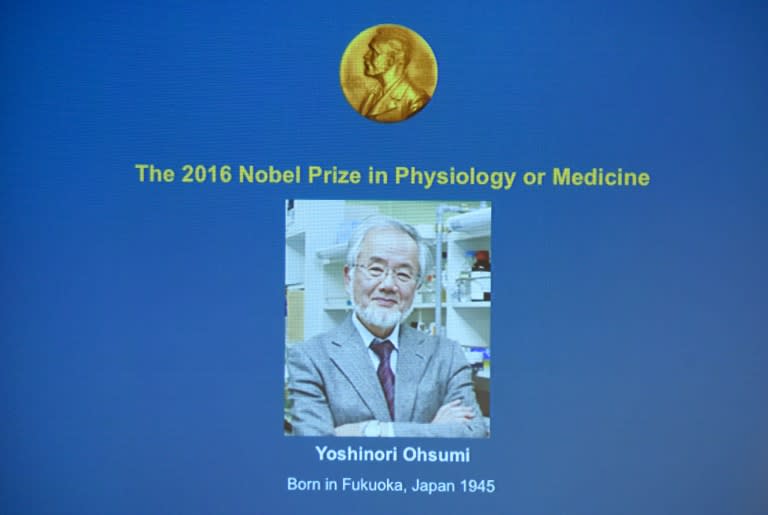 Yoshinori Ohsumi's work on autophagy has increased our understanding of cancers and neurological diseases, such as Parkinson's