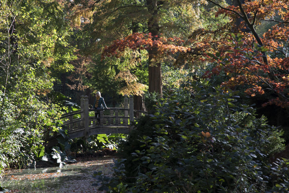 Autumn leaves, colours and an ornamental bridge in the gardens at Winterbourne Botanic Garden, the botanical garden of the University of Birmingham, located in Edgbaston, Birmingham, United Kingdom. Set in 7 acres, it is notable as a rare surviving example of an early 20th century high status suburban villa garden, inspired by the Arts and Crafts movement of the Edwardian period. Both Winterbourne Botanic Garden and Winterbourne House are owned by the University of Birmingham and are open to the public as a heritage attraction. (photo by Mike Kemp/In PIctures via Getty Images)