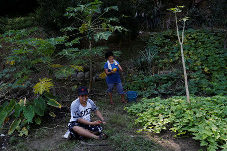 Chen Hong-zhi, 26, who suffers from short-term memory loss, and his stepmother, Wang Miao-cyong, 65, work on their farmland in Hsinchu, Taiwan, July 31, 2018. REUTERS/Tyrone Siu