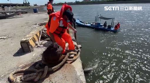 弗氏海豚遺體已被成功大學鯨豚研究中心載回，將進一步釐清死因。（圖／翻攝畫面）