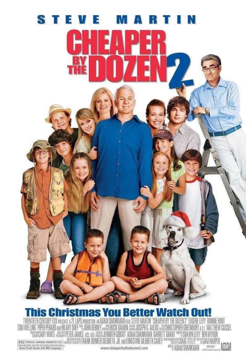 cheaper by the dozen 2