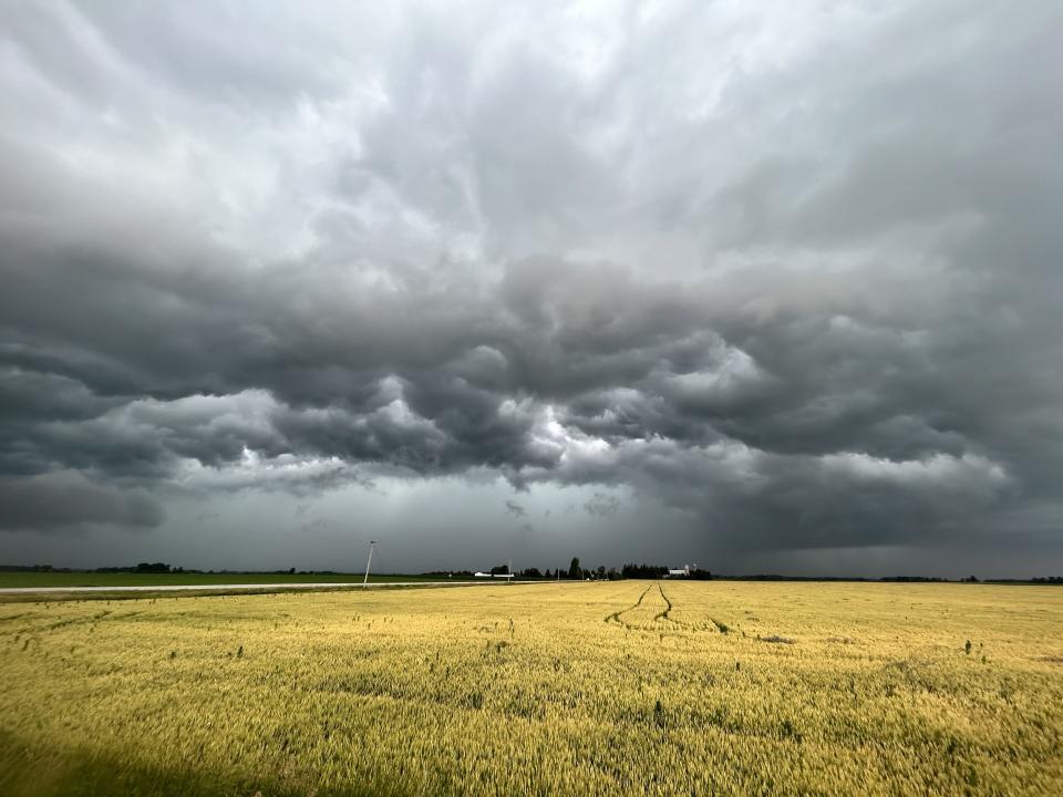 Mark Robinson/The Weather Network: thunderstorm, storms, cloud, farm, summer. Location: Brussels, Ontario. July 6, 2023
