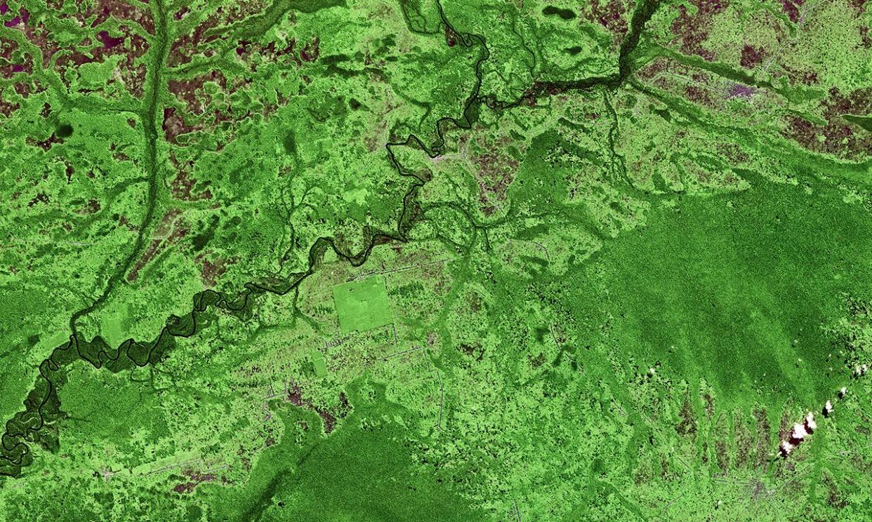 <span>A satellite image shows deforestation (lighter green areas) in the Democratic Republic of the Congo, which is rich in biodiversity but a lack of data means it is poorly understood.</span><span>Photograph: ESA</span>