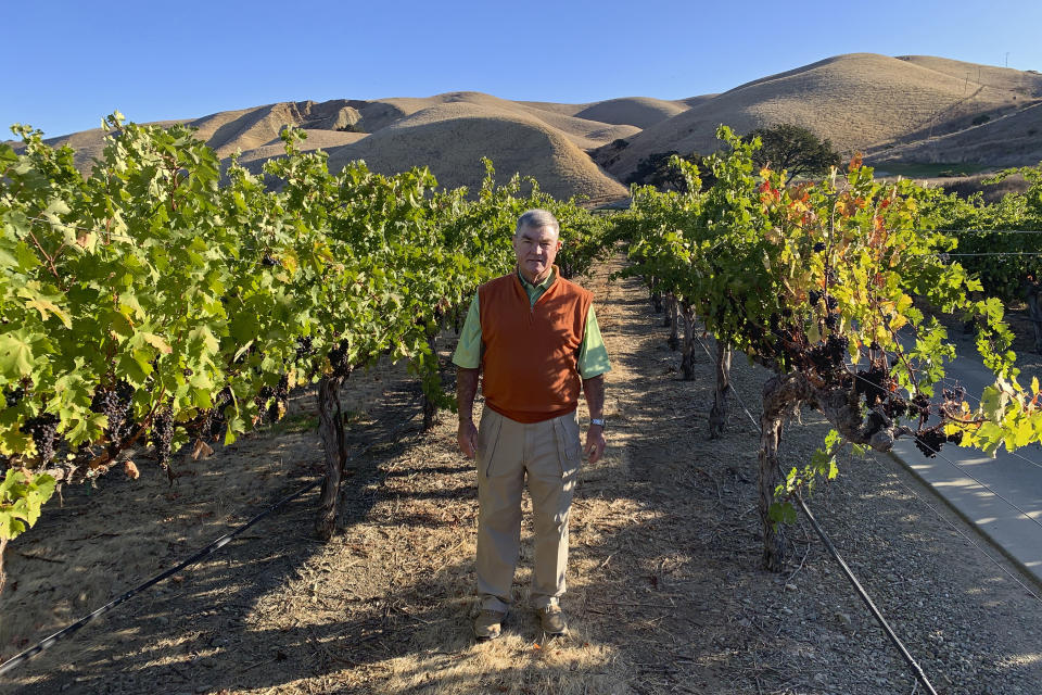 In this Oct. 4, 2019 photo, Eric Wente, chairman of Wente Vineyards, stands in vineyards at his family-run winery, which was founded by his great grandfather in 1883 in Livermore, Calif. Caught in the crossfire of President Donald Trump’s trade war with China, U.S. vineyards are struggling to sell Syrah in Shanghai and Chardonnay in Shenzhen. They risk losing their foothold in one of the world’s fastest-growing wine markets. Among the casualties is California's Wente Vineyards, that was among the first U.S. winemakers to export to China 25 years ago. (AP Photo/Terry Chea)