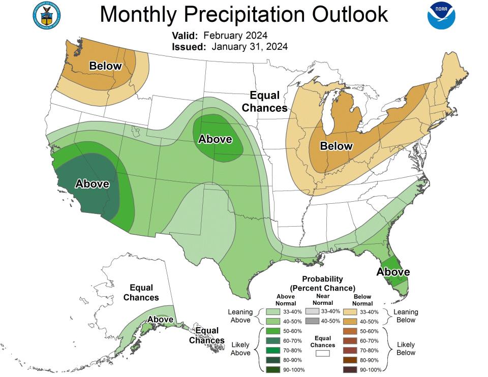 Precipitation is forecast to be above-normal (green) across much of the southern tier of the nation in February, all the way from California to Florida. The Northwest and Northeast should see drier-than-normal conditions (brown).