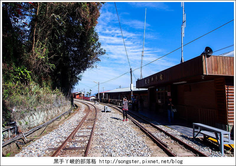 【嘉義】龍山國小 太興岩步道 交力坪車站