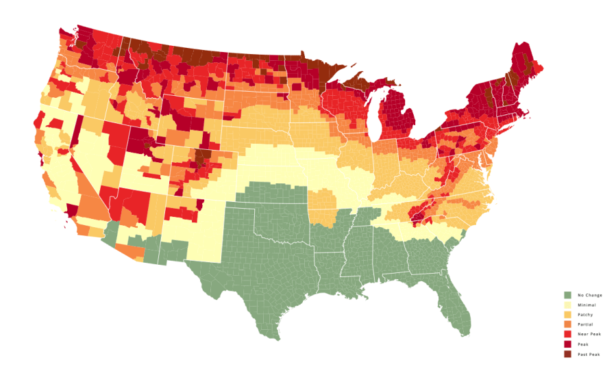 Map showing predicted development of fall foliage in the U.S. for 2023. (Courtesy of SmokeyMountains.com)