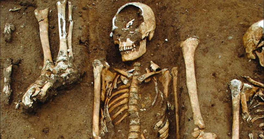 考古學家2016年在英格蘭北林肯郡的桑頓修道院，挖出新的黑死病亂葬。 （圖／ University of Sheffieldd）