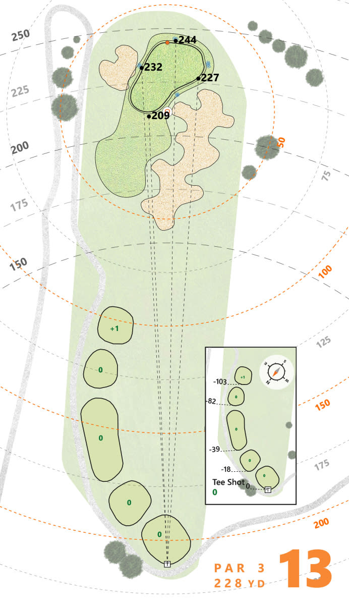 Puttview TPC Twin Cities