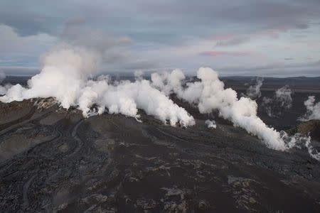 REFILE - CAPTION CLARIFICATION - Steam and smoke rise over a 1-km-long fissure in a lava field north of the Vatnajokull glacier, which covers part of Bardarbunga volcano system, August 29, 2014. REUTERS/Marco Nescher