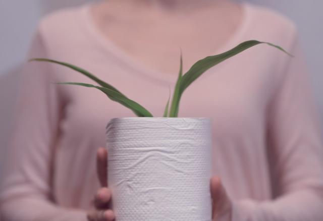 Bamboo toilet paper is a sustainable solution to a daily necessity