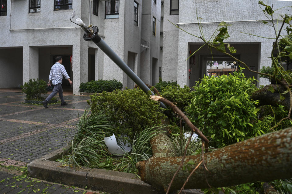 A man walks by lamp post and trees damaged by Typhoon Saola in Heng Fa Chuen, Hong Kong, Saturday, Sept. 2, 2023. Typhoon Saola made landfall in southern China before dawn Saturday after nearly 900,000 people were moved to safety and most of Hong Kong and other parts of coastal southern China suspended business, transport and classes. (AP Photo/Billy H.C. Kwok)