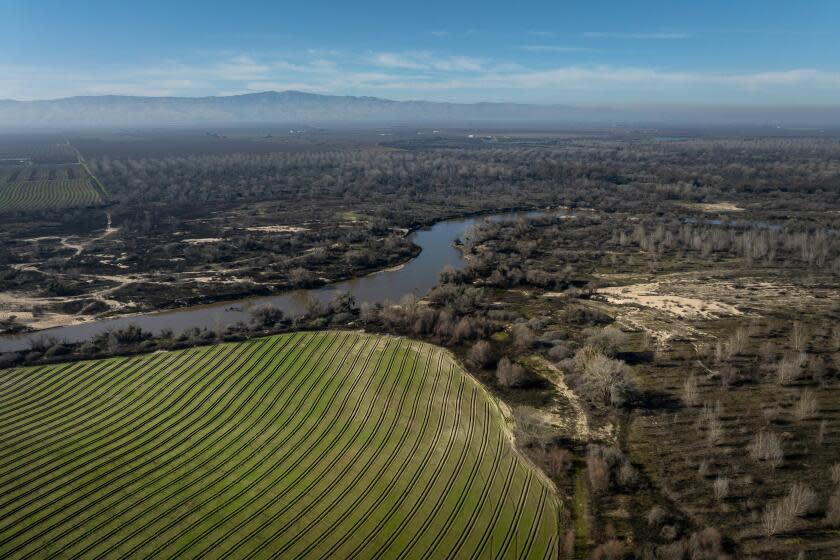 The San Joaquin River flows past land being restored to floodplain habitat near Modesto.