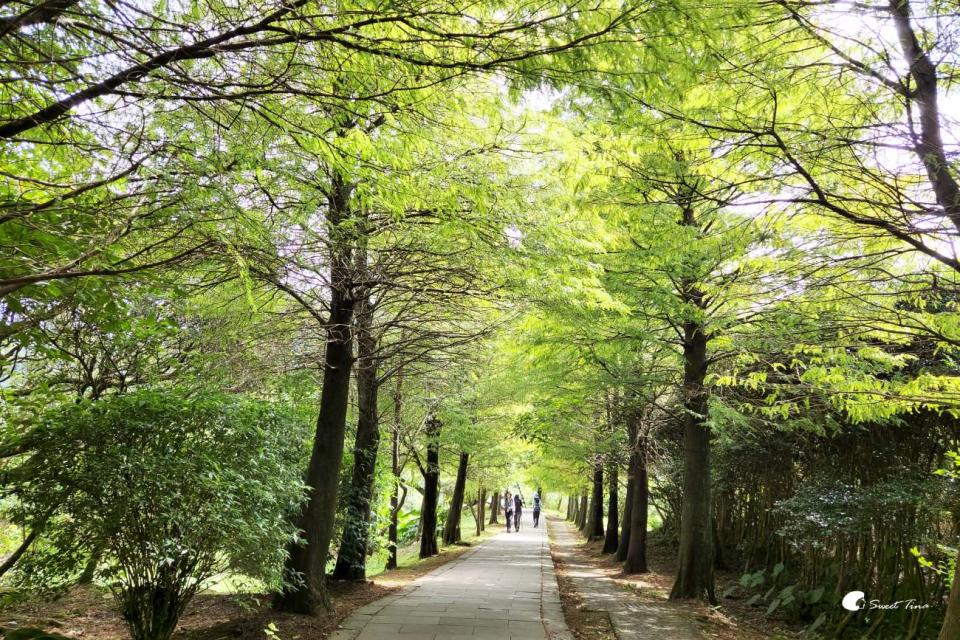 台北冷擎步道