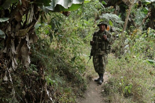 A member of the Revolutionary Armed Forces of Colombia (FARC) stands guard at a checkpoint near the municipality of Toribio, department of Cauca, Colombia, in July 2012. Colombian President Juan Manuel Santos confirmed that his government had begun "exploratory discussions" with leftist FARC rebels to lay the groundwork for a full-fledged peace process