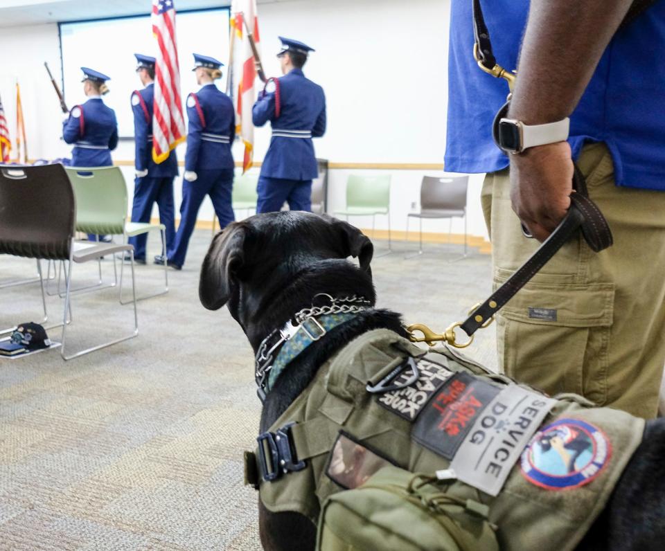 A service dog watches the Niceville High School Junior ROTC color guard during the graduation ceremony for eight teams who completed their Healing Paws for Warriors training in this Daily News file photo. Healing Paws for Warriors recently received a grant of $100,000 from Impact100 of Northwest Florida to purchase a vehicle to help take advantage of the nonprofit's community and veteran outreach opportunities.