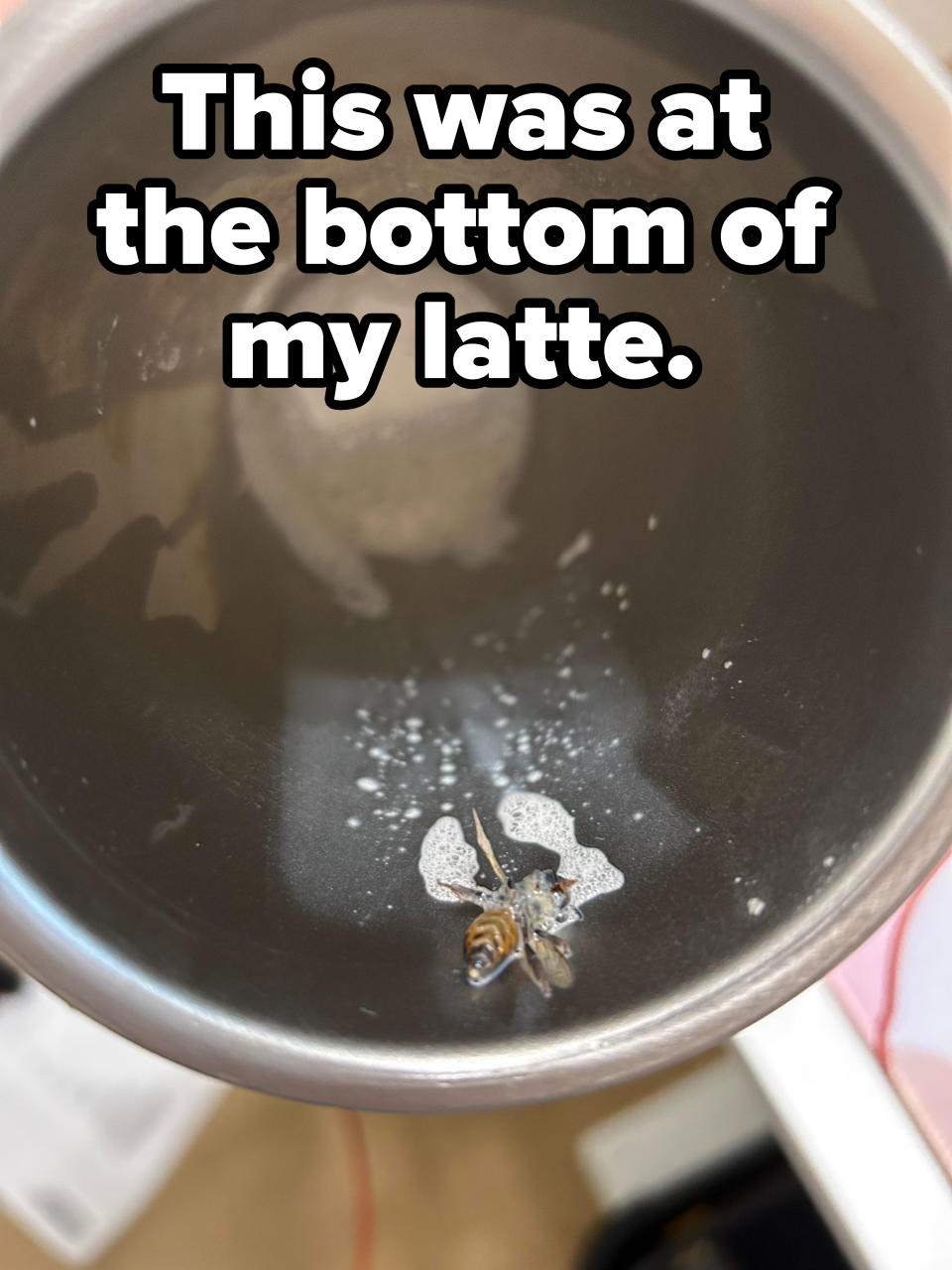 a wasp in someone's latte