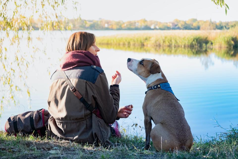 a woman talks to her dog while they're sitting beside a lake