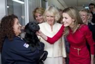 <p>Princess Letizia of Spain and Camilla, Duchess of Cornwall, meet a puppy during a visit the Guide Dogs Centre in Madrid.</p>