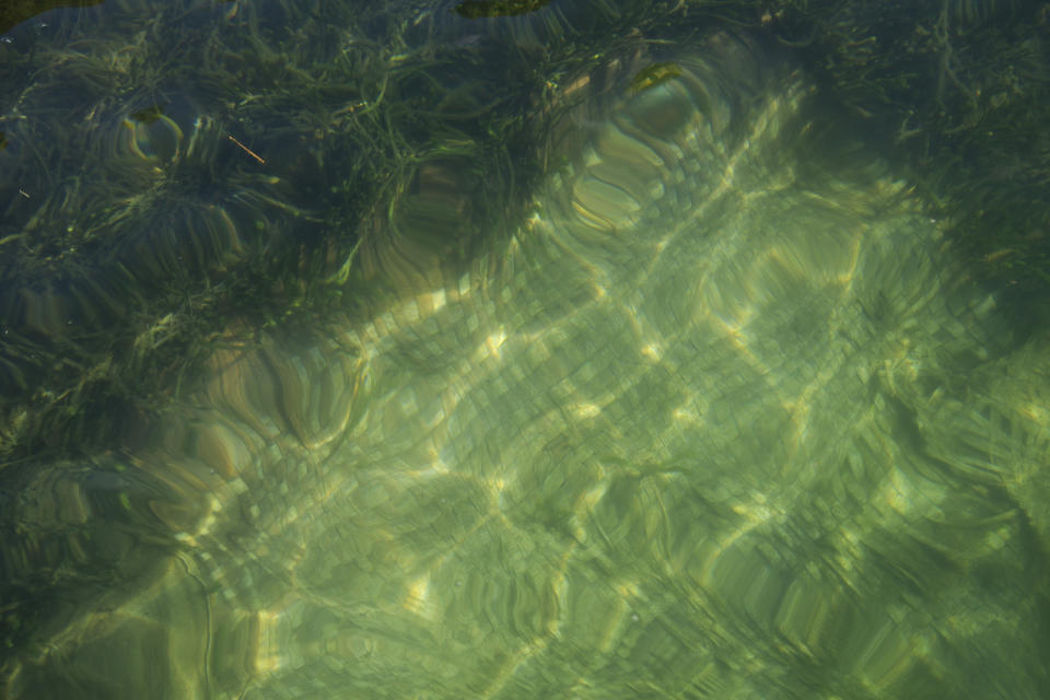 Un tapete tejido con fibras naturales, conocido como uwhi, usado para atravesar cuerpos de agua y recolectar alimento en marismas de poca profundidad, bajo la superficie del lago Rotomā en Nueva Zelanda, el 7 de mayo de 2022. (Cornell Tukiri/The New York Times)