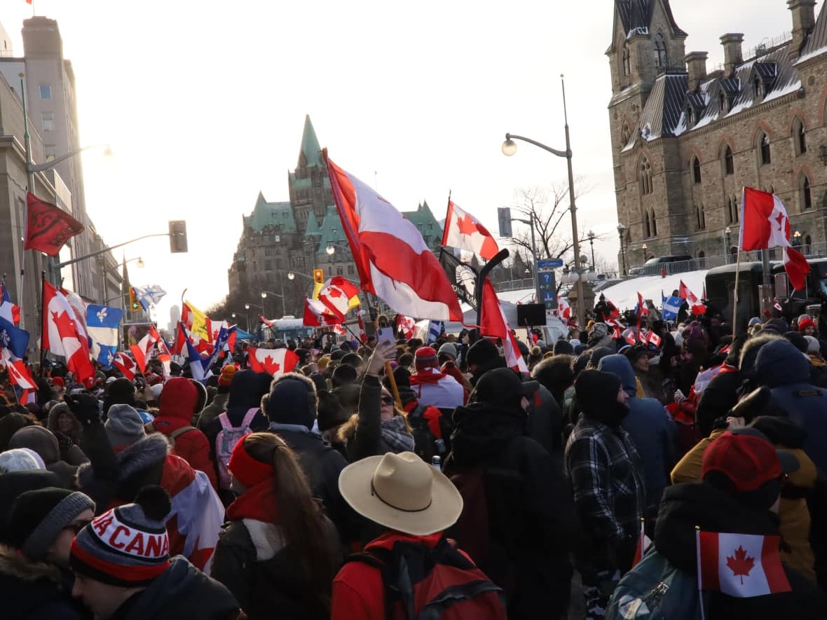 Thousands of protesters gather on Ottawa's Wellington Street on Saturday, defying police orders to go home. The protest against COVID-19 public health measures, which began two weeks ago, is being called an occupation by police and some politicians. (Michael Cole/CBC News - image credit)