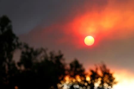 The sun is seen through smoke rising from the so-called "Sherpa Fire" in the hills near Santa Barbara, California, U.S. June 16, 2016. REUTERS/Mario Anzuoni