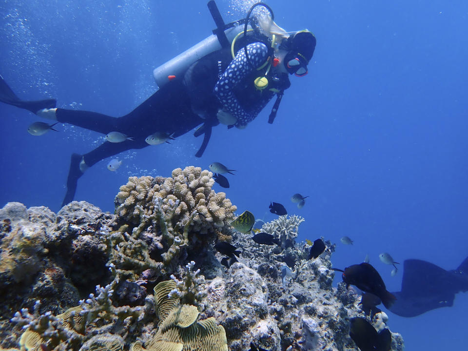 This photo provided by Ava Shearer shows her scuba diving at Australia's Great Barrier Reef in 2020. With the Monday, Feb. 28, 2022 release of a United Nations climate report that paints a dire picture of the Great Barrier Reef’s future, the 17-year-old marine science student and snorkeling guide wonders what will be left of the imperiled ecosystem by the time she finishes her degree at Australia’s James Cook University. (Courtesy Ava Shearer via AP)