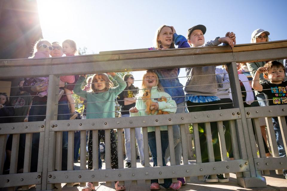 People watch a presentation with African elephants Zuri and Christie at the Hogle Zoo in Salt Lake City on Saturday. The zoo’s two African elephants, Christie, 37, and her daughter, Zuri, 14, are being transferred to another accredited zoo where the elephants will have a chance to breed.