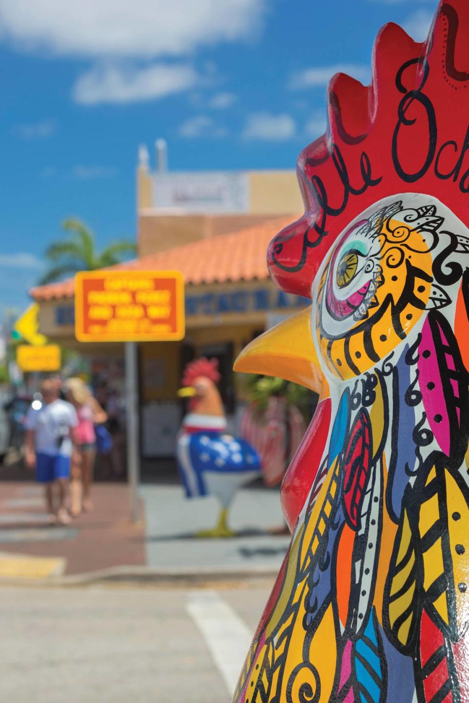 Gallos de fibra de vidrio, como el de arriba, adornan las calles a lo largo de la Calle Ocho, rindiéndole homenaje a un animal apreciado en varios países caribeños, latinoamericanos y europeos. Los gallos de compañía se oyen cacarear en las zonas residenciales de La Pequeña Habana.