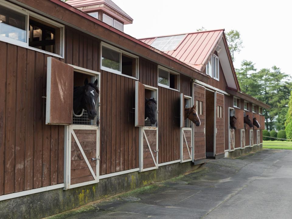 Horse stables