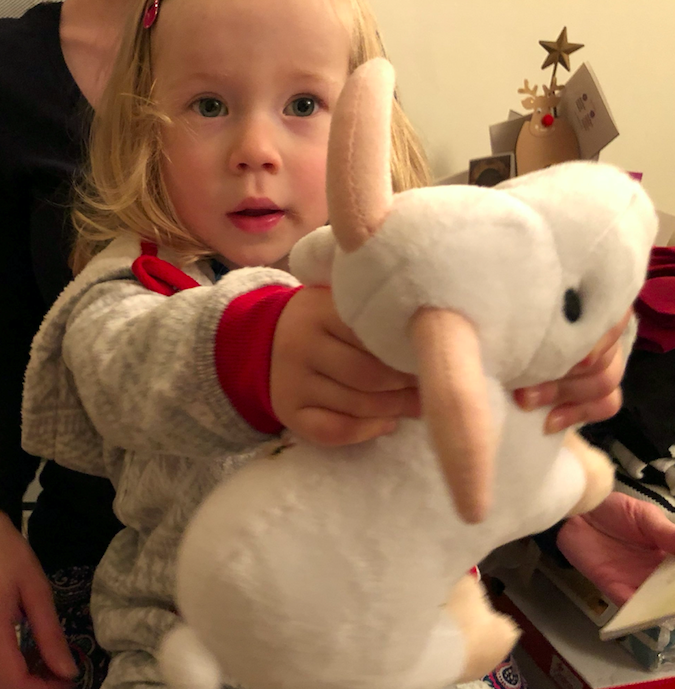 Cadi Williams shows off a cuddly toy that Ken Watson bought for her before he died. (SWNS)