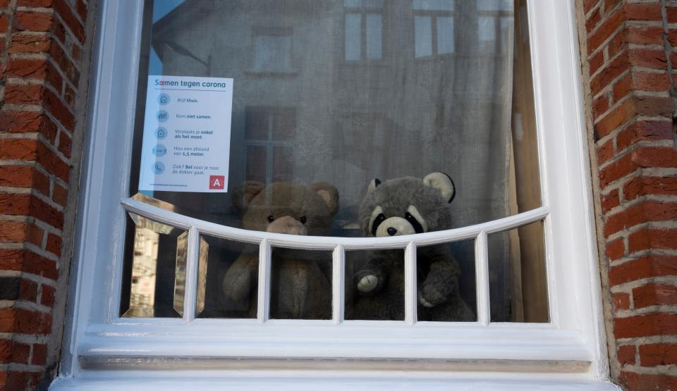 belgium teddy bear hunt coronavirus