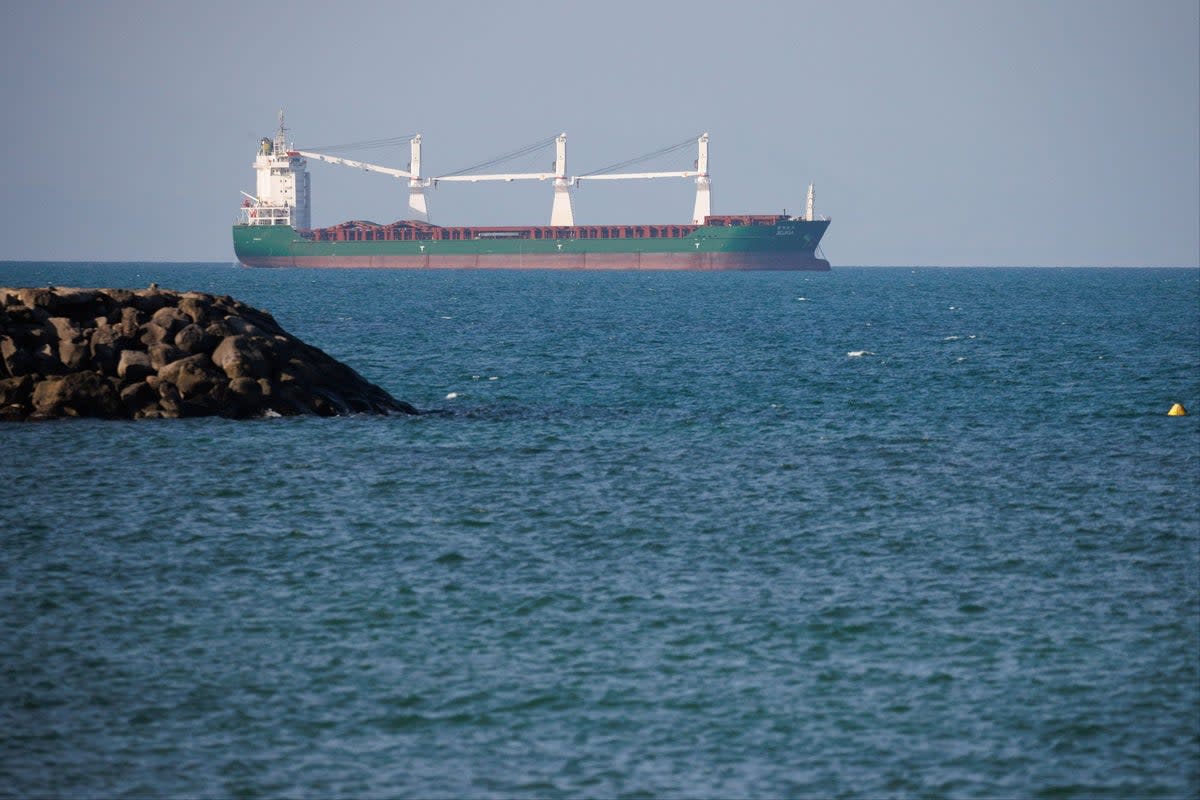 The cargo ship Jigjiga seen in the Gulf of Aden on January 17 (Getty Images)