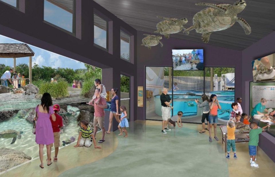 This artist's rendering shows a section of the Scaife Family Sea Turtle Care Complex at the Brevard Zoo's planned aquarium and conservation center at Port Canaveral.