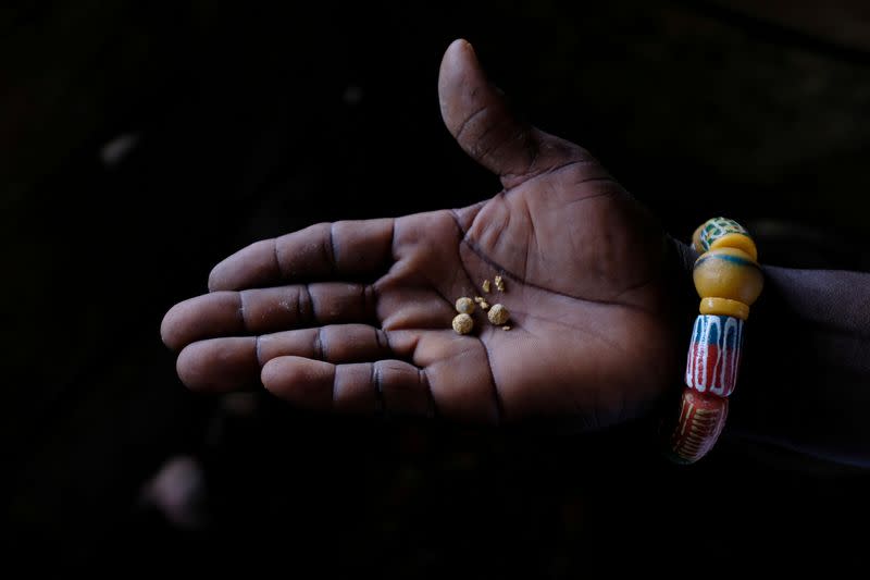 FOTO DE ARCHIVO: La mano de una persona sostiene el oro después de haber sido procesado con mercurio y ácido nítrico en Bawdie, Ghana, el 4 de abril de 2019