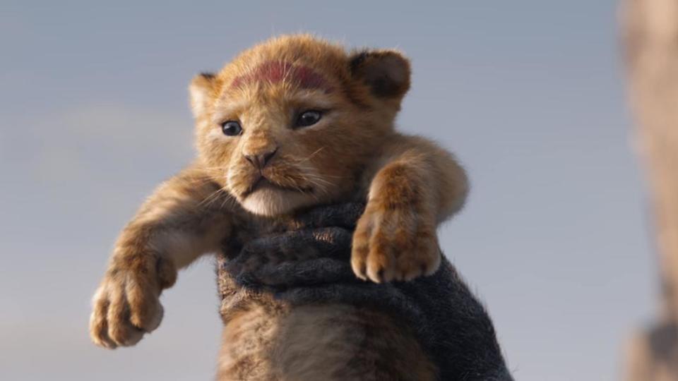 《獅子王》斬獲第89屆奧斯卡最佳視覺特效獎。（圖／翻攝自IMDB）