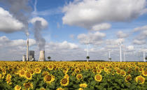 A field of sunflowers is within sight of the Mehrum coal-fired power station, wind turbines and high-voltage lines in Mehrum, Germany, Monday, Aug. 3, 2020. In the energy turnaround, energy sources such as coal are to be replaced by more environmentally friendly energy sources from the sun and wind. The phase-out of coal is planned by 2038 at the latest. (Julian Stratenschulte/dpa via AP)