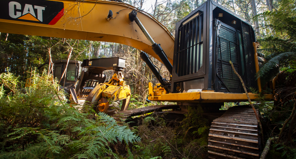 Heavy machinery parked inside Yarra Ranges National Park