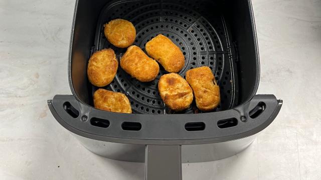 Non-Toxic Air Fryer: Does it Exist?