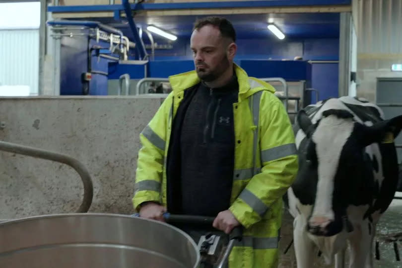 Man working on a dairy farm