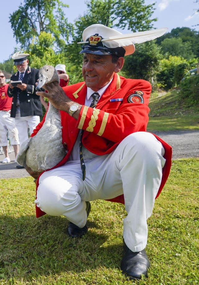 Swan Upping