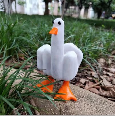 Middle Finger Duck